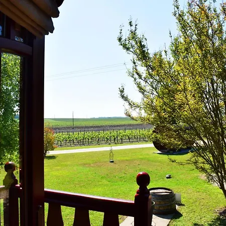 ゲストハウス Domaine Des Vigneres Saint-Maurice-de-Tavernole