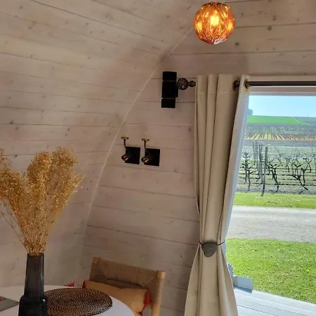 ゲストハウス Domaine Des Vigneres 4*